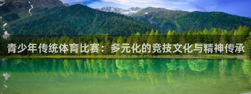 青少年传统体育比赛：多元化的竞技文化与精神传承