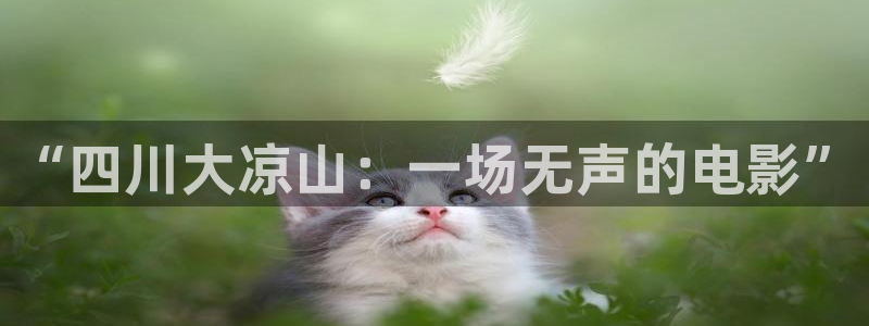 “四川大凉山：一场无声的电影”