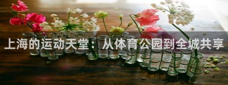 上海的运动天堂：从体育公园到全城共享