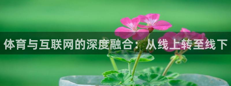 体育与互联网的深度融合：从线上转至线下