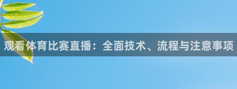 观看体育比赛直播：全面技术、流程与注意事项
